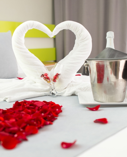 Packs Vanilla Garden Romantisches Willkommenspaket Vanilla Garden