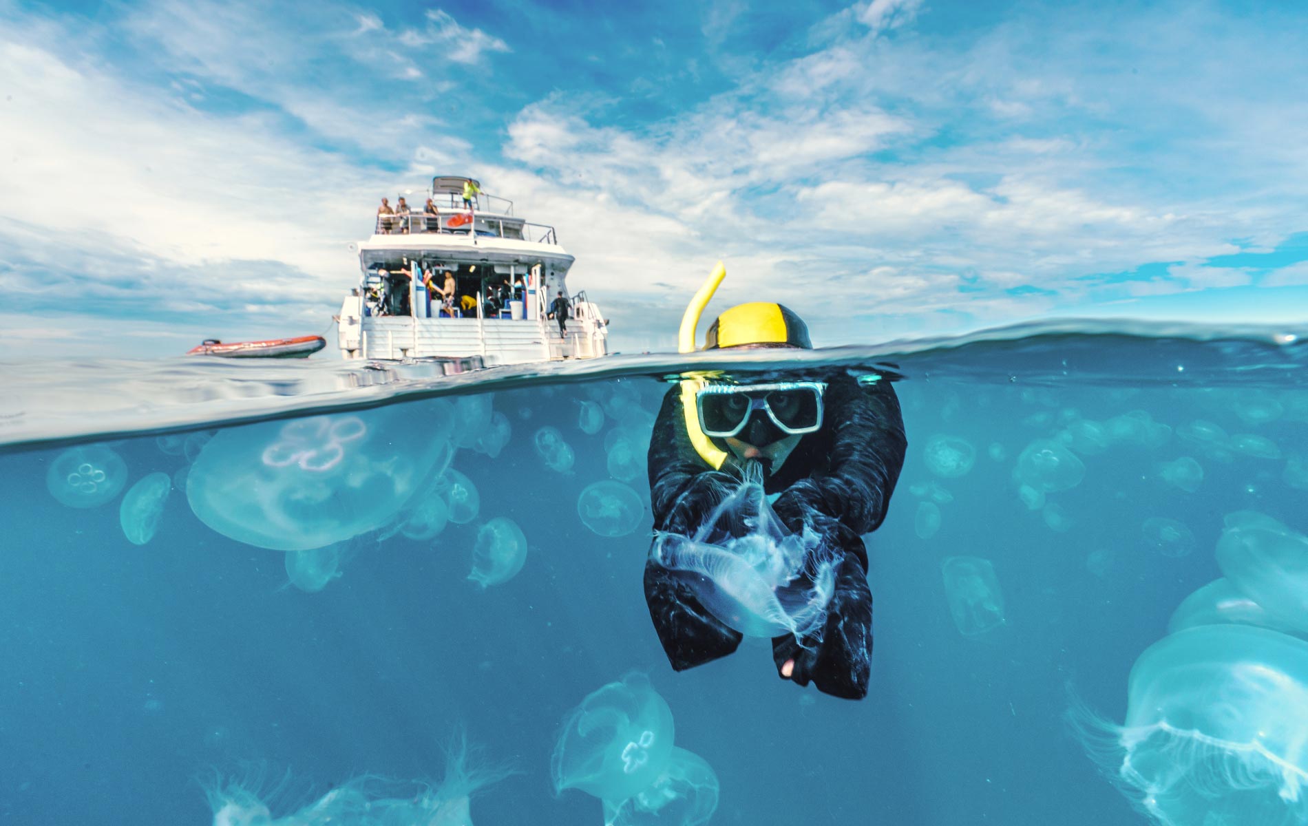 Scuba Diving Vanilla Garden